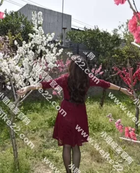 丰庄少妇好性感，价格实惠服务周到